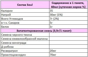 Rain Soul состав